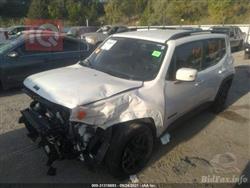 جيب رينيجيد